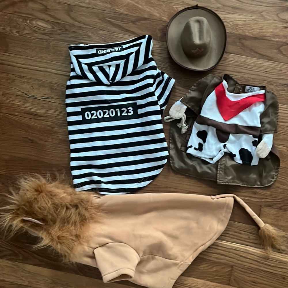 Small Dog Halloween Costumes